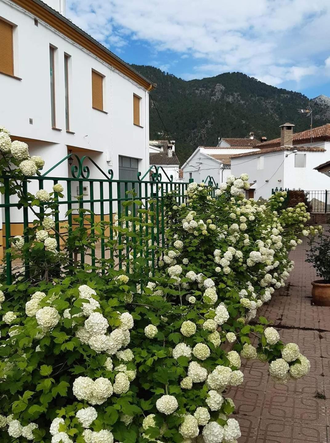 Albergue Ruta Rio Borosa Coto Rios Dış mekan fotoğraf